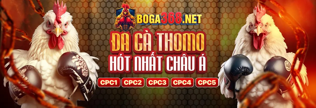 Sân đấu đá gà kịch tính tại fcb8 đăng nhập